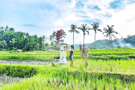 Wisata Alam Desa Tinggarsari