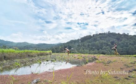 Terasering Subak Tinggarsari 3